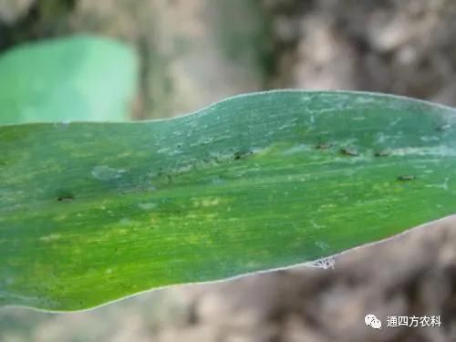 ���הQ����ô�k����ץ�o��Q��(hu��)Ӱ푮a(ch��n)��!!!