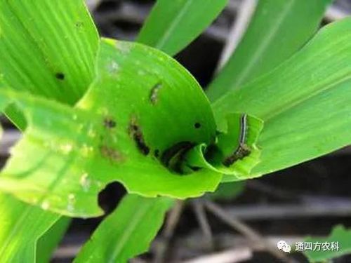 ���הQ����ô�k����ץ�o��Q��(hu��)Ӱ푮a(ch��n)��!!!