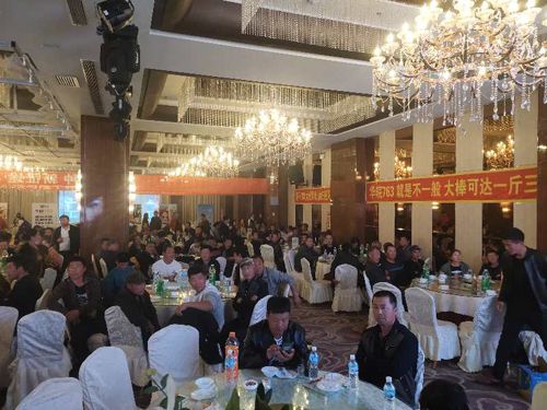 �Nֲ���(h��)ӆ؛��(hu��)